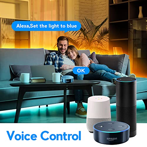 GIDEALED Smart Wireless RGBWW LED Controller for Alexa/Google