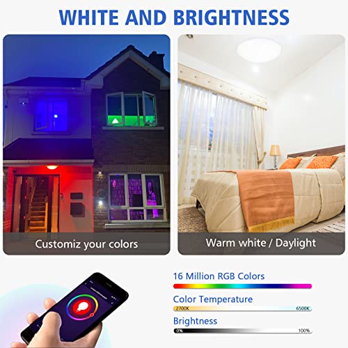 SYLSTAR Smart LED Ceiling Light with RGB Ambiance