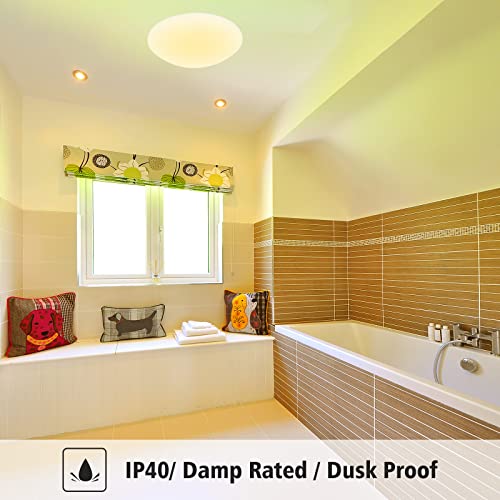 SYLSTAR Smart LED Ceiling Light with RGB Ambiance