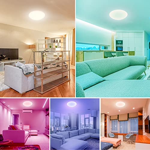SYLSTAR Smart LED Ceiling Light with RGB Ambiance