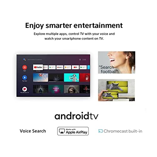 Sony BRAVIA 65" 4K Array LED Smart TV