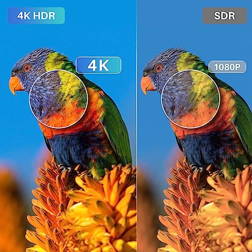 55" RCA QLED UHD Smart TV, Samsung Tizen OS
