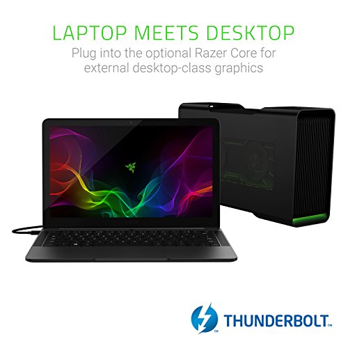 Razer Blade Stealth Ultrabook - Intel i7, 16GB RAM
