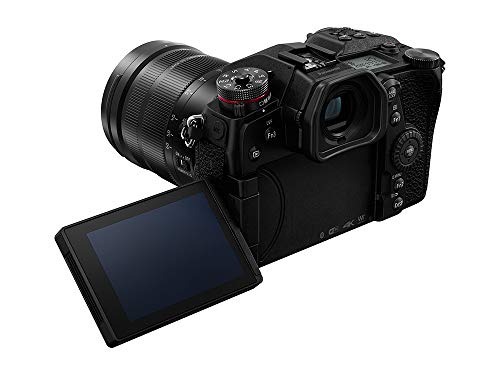 Panasonic LUMIX G9 Mirrorless Camera with LEICA Lens