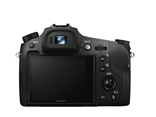 Sony RX10 III | Premium Compact Camera, 4K Recording