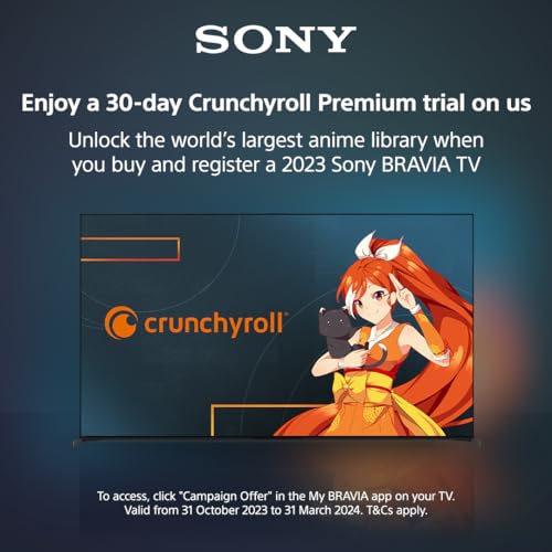 Sony BRAVIA 65" 4K HDR LED TV with Google TV