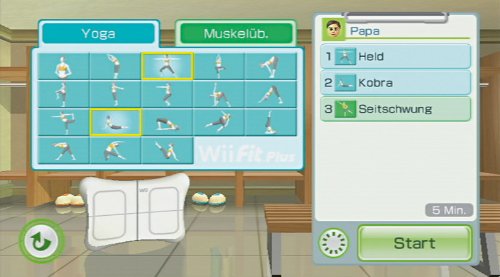 Nintendo Wii Fit Plus for individual use