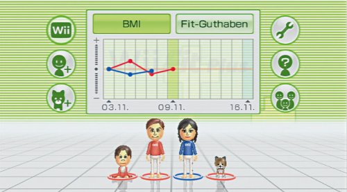 Nintendo Wii Fit Plus for individual use