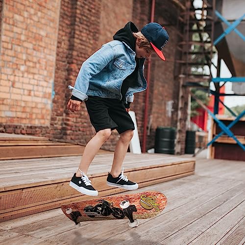 Sefulim 31 x 8 Inch Complete Skateboard