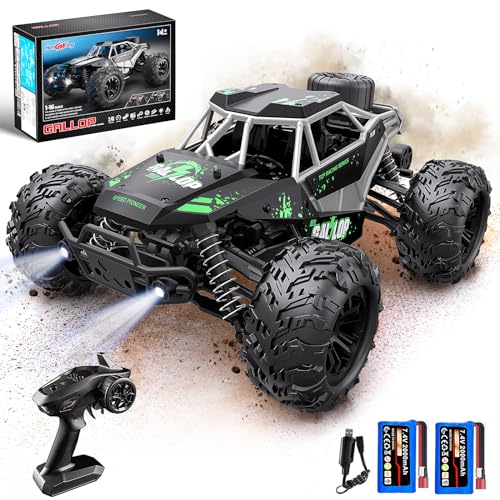 High Speed Off-Road RC Car: 1:16 Scale Monster Truck