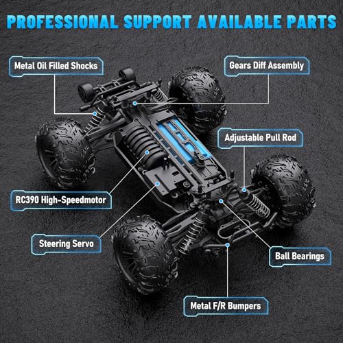 High Speed Off-Road RC Car: 1:16 Scale Monster Truck