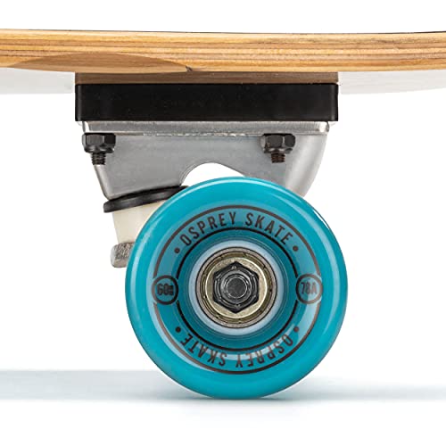 Versatile Osprey Cruiser Skateboard for All Ages and Styles