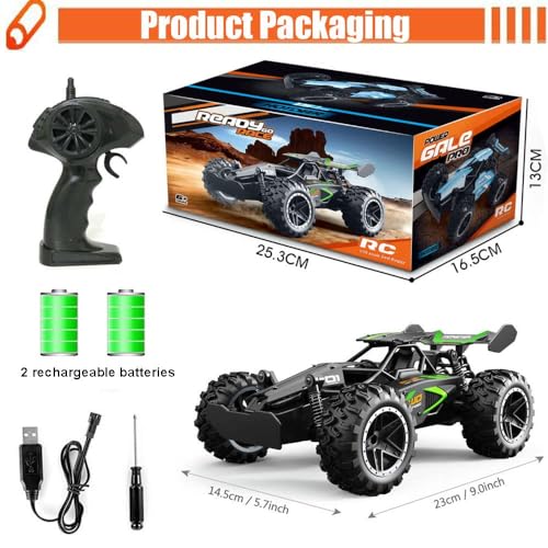 SZJJX RC Car Truck, 2.4Ghz High Speed 2WD