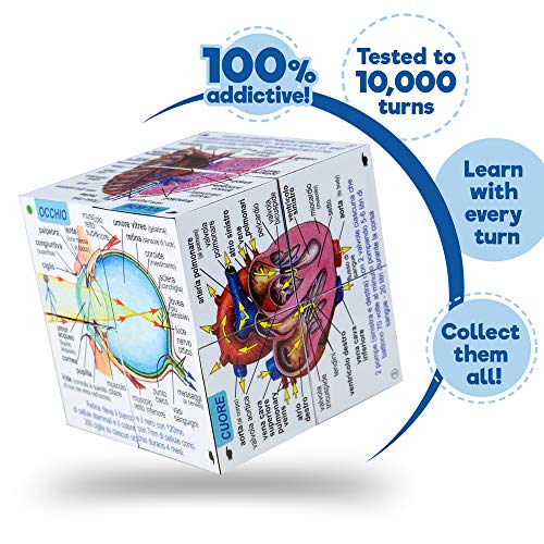 Italian Human Body Systems and Statistics Cubebook