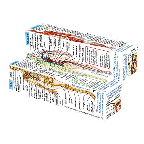 Italian Human Body Systems and Statistics Cubebook