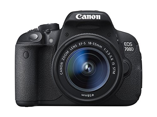 Canon EOS 700D DSLR Camera with STM Lens
