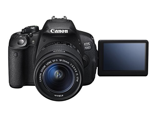 Canon EOS 700D DSLR Camera with STM Lens