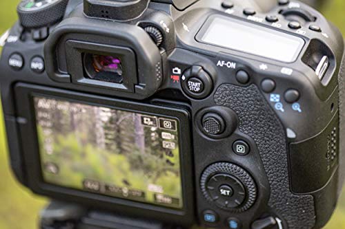 Canon EOS 90D: Powerful DSLR for Wildlife & Sports