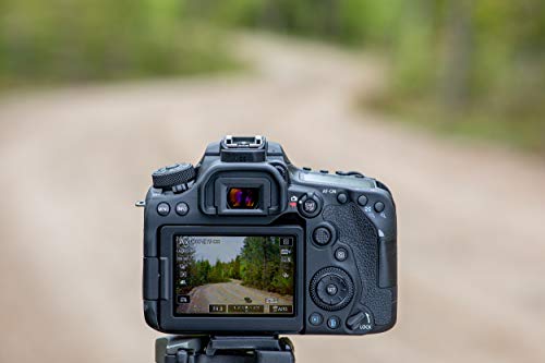 Canon EOS 90D: Powerful DSLR for Wildlife & Sports
