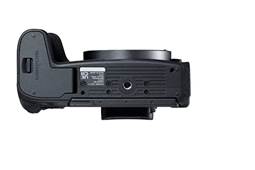 Canon EOS R8 - Full-Frame Mirrorless Camera