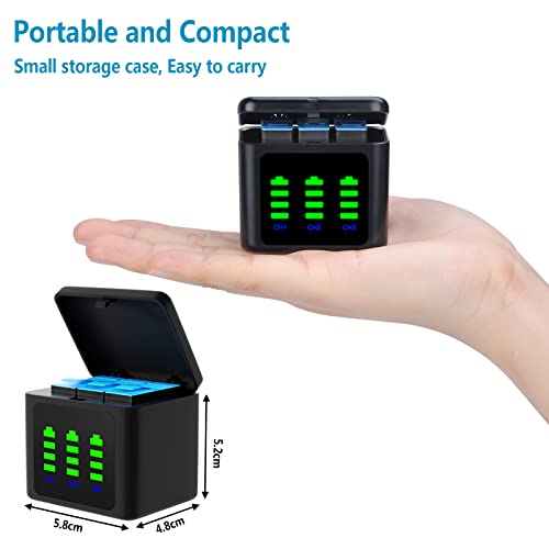 Hisewen 3-Ch. Charger, Compact Storage for GoPro Batteries