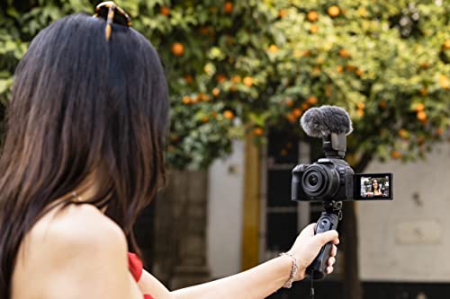 Canon R10 Mirrorless Camera Body - Easy-to-use EOS-R