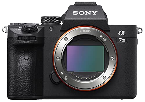 Sony Alpha 7 III | Mirrorless Camera