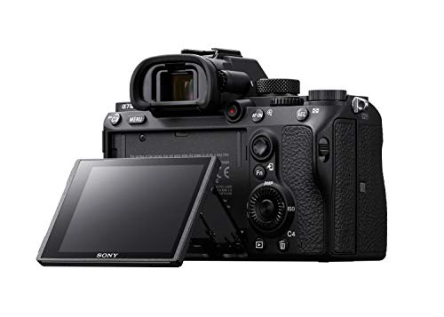Sony Alpha 7 III | Mirrorless Camera