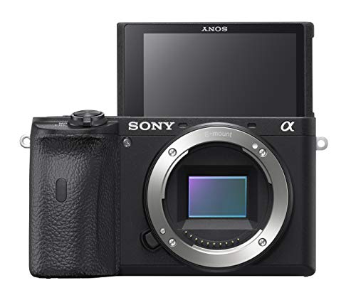 Sony Alpha 6600 Camera with 18-135mm Lens