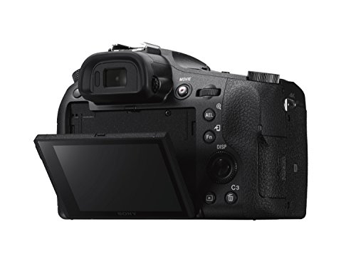 Sony RX10 IV | Premium Compact Camera (1.0-Type Sensor, 24-600 mm F2.8-4.0 Zeiss Lens)
