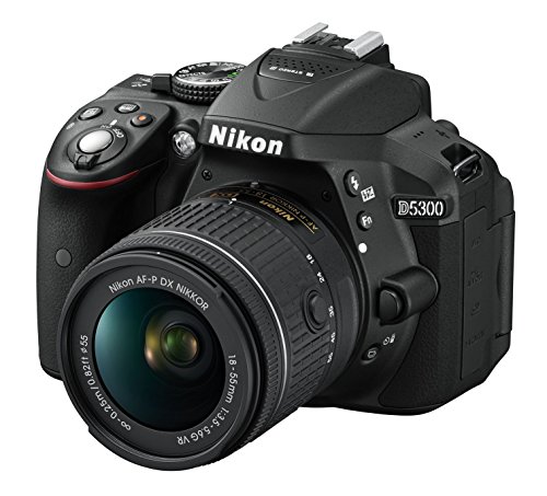 Nikon D5300 Camera with 18-55mm Lens