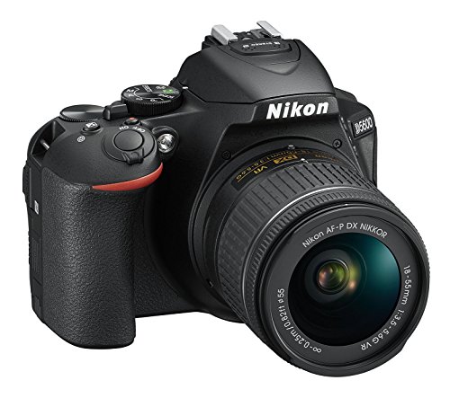 Nikon D5600 with AF-P 18-55 VR - Black