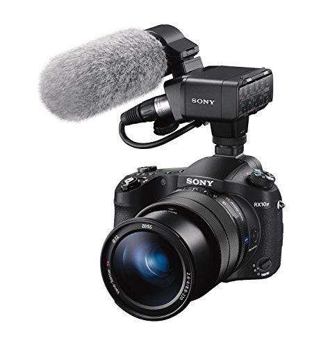 Sony RX10 IV | Premium Compact Camera (1.0-Type Sensor, 24-600 mm F2.8-4.0 Zeiss Lens)