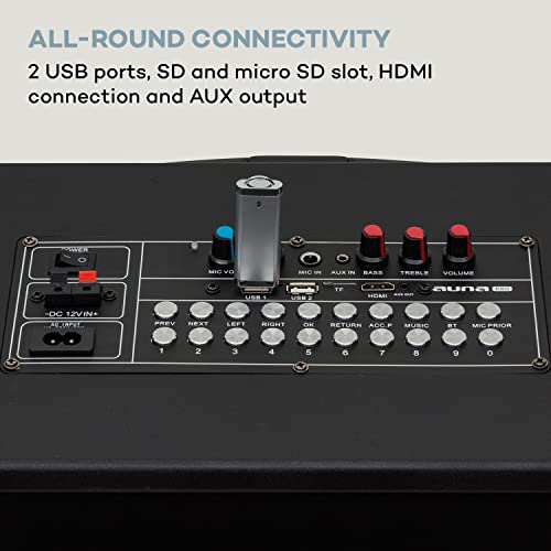 Auna KTV Karaoke Machine - 2 Microphones, Portable