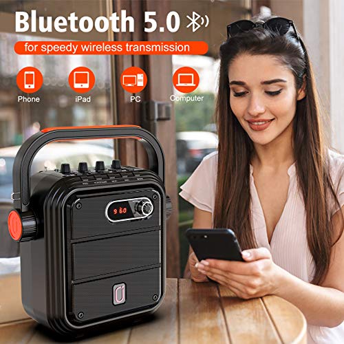 Portable Karaoke Machine with Wireless Microphones and Bluetooth