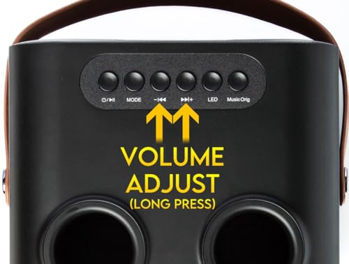 Portable Karaoke Machine with Wireless Microphones & Lights