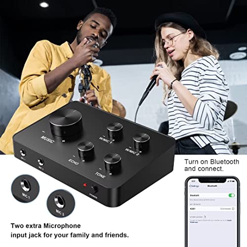 Wireless Karaoke Mixer, Dual Handheld Mic, HDMI Support