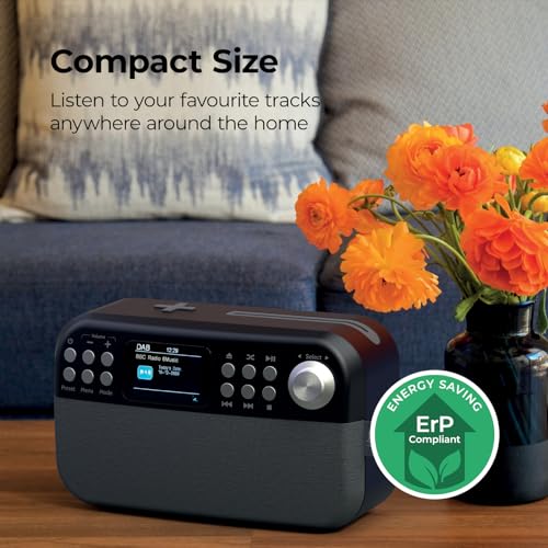 Bluetooth CD/DAB HiFi Portable Speaker, Qi Charger, USB