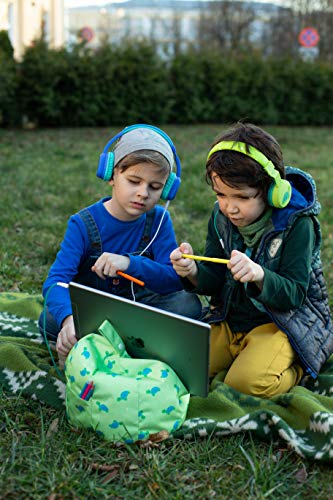Green Turtle Tablet & iPad Stand with Storage
