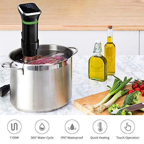 Tanice Sous Vide: Accurate Temperature & Time Control, Cookbook