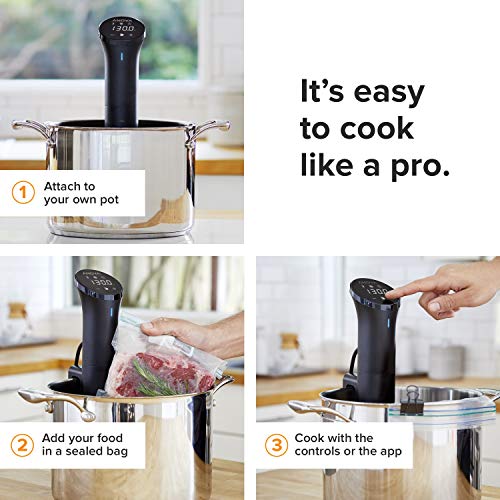 Anova Precision Cooker Nano 2.0 - WiFi, Small, Black