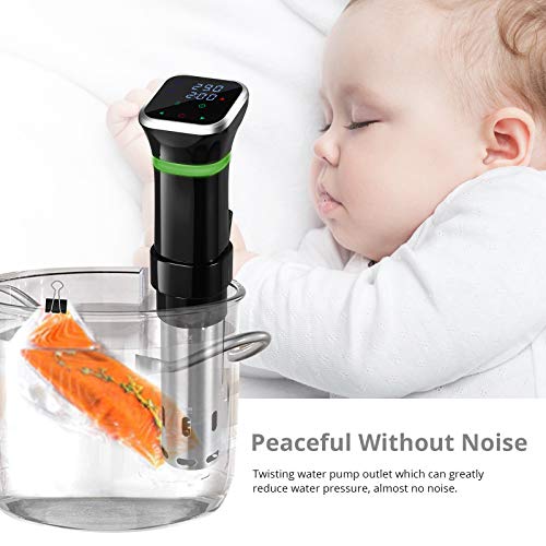 Tanice Sous Vide: Accurate Temperature & Time Control, Cookbook