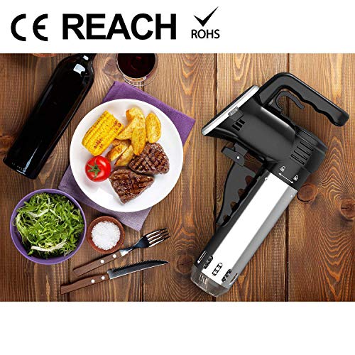 Black-Classic Wancle Sous Vide Cooker for Precision Cooking