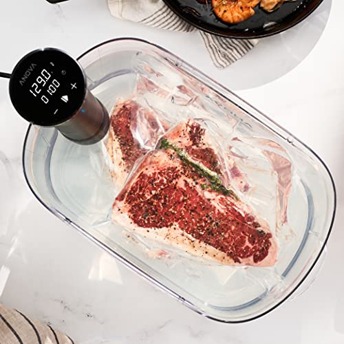 Anova Nano 3.0 Cooker