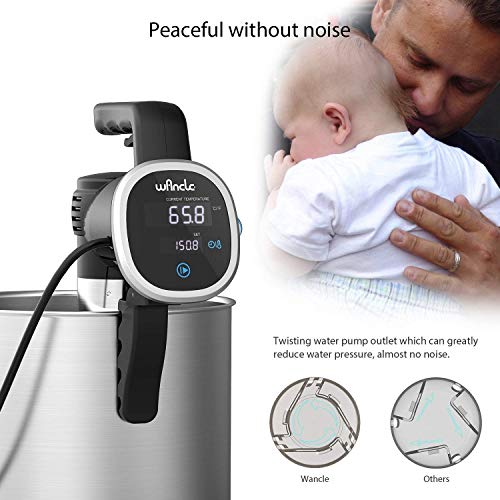 Black-Classic Wancle Sous Vide Cooker for Precision Cooking