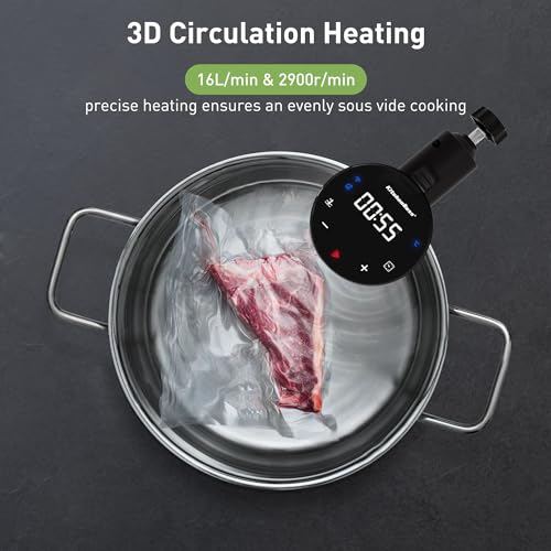 KitchenBoss WIFI Sous Vide Cooker: Ultra Quiet 1100W