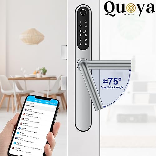 QUOYA D1 Smart Door Lock Handle - Keyless Entry