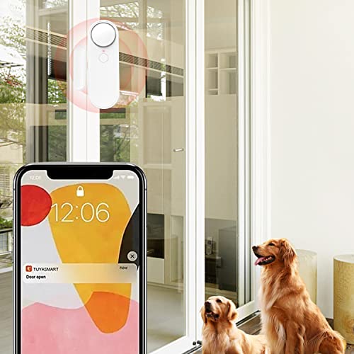 WiFi Door Sensor for Business Burglar Alert - 2 Pack