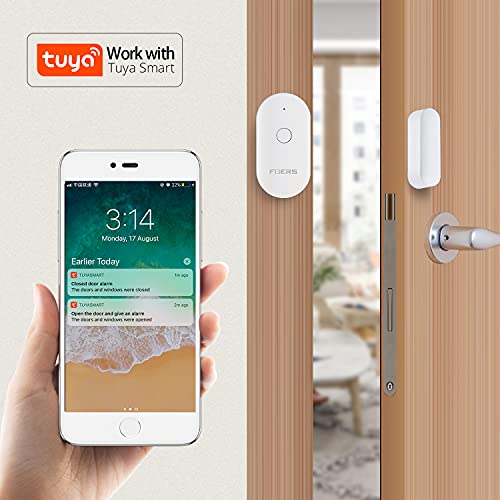 Wireless Smart Door Window Alarm - 2 Pack