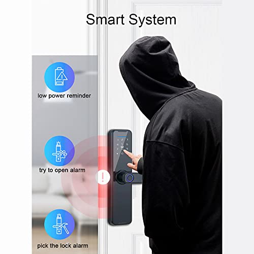 Smart Fingerprint Door Lock with Keypad, Handle